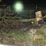 WhatsApp Image 2025-12-21 at 08.18.24