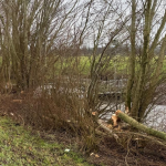 20260116_Amtshilfe-3