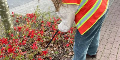 WhatsApp Image 2026-03-29 at 20.27.47